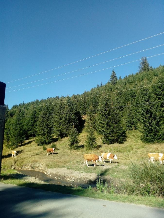 Csillag Kulcsoshaz Villa Gheorgheni  Bagian luar foto