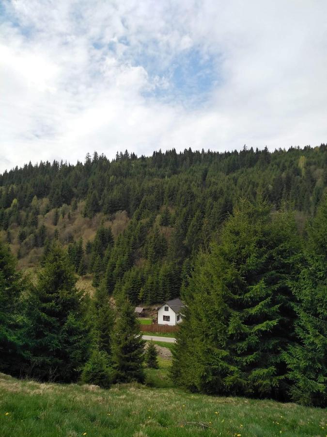 Csillag Kulcsoshaz Villa Gheorgheni  Bagian luar foto