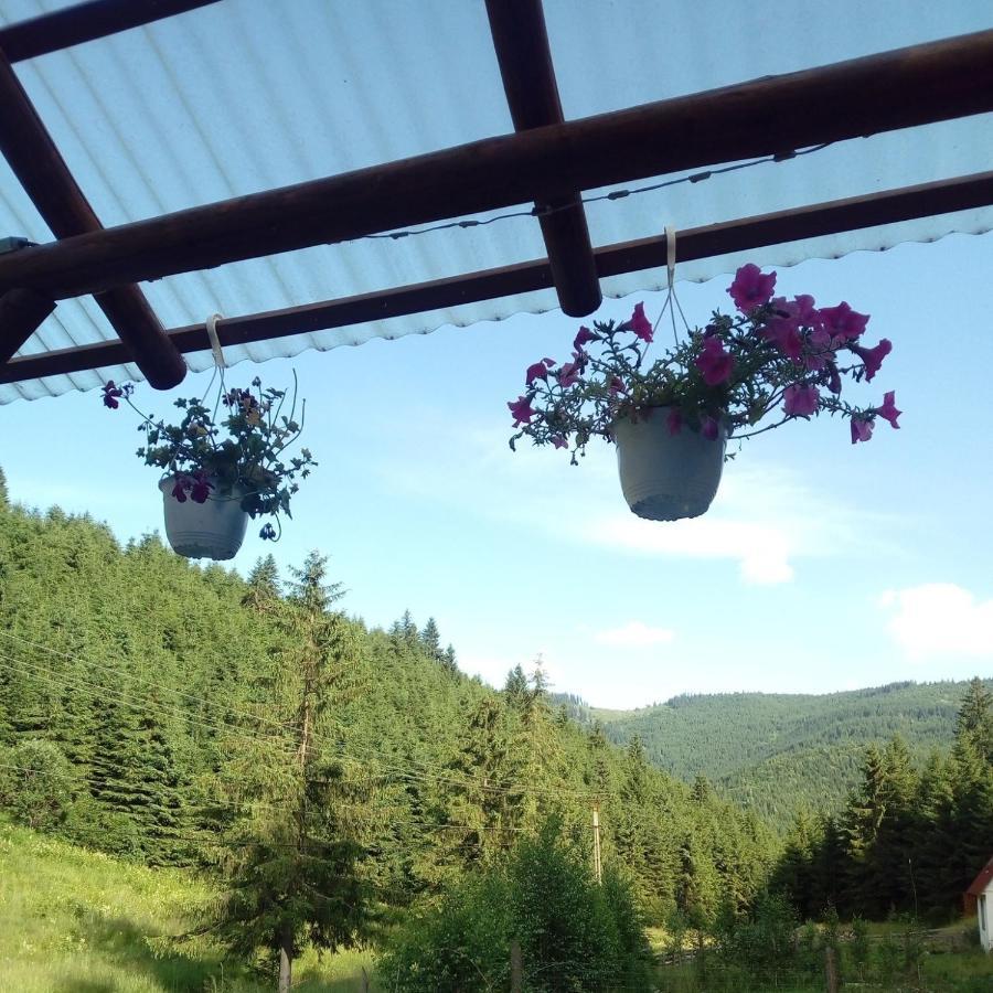 Csillag Kulcsoshaz Villa Gheorgheni  Bagian luar foto